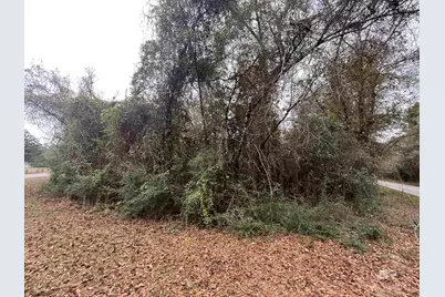 3000 Block N Pine Barren Road, McDavid, FL 32568 - Photo 5