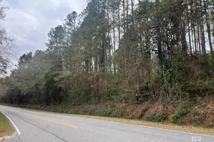 3000 Block N Pine Barren Rd, McDavid, FL 32568 - Photo 1