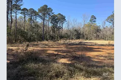 24979 Friendship Road, Daphne, AL 36526 - Photo 3