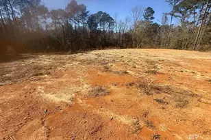 24979 Friendship Rd, Daphne, AL 36526 - Photo 1