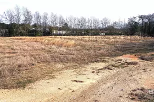 0 Hwy 31, Atmore, AL 36502 - Photo 15