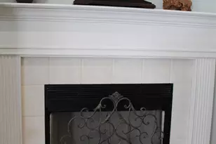 373 Collinwood Loop, Foley, AL 36535 - Photo 9