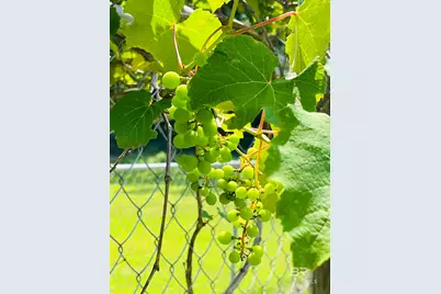 7860 Cliff's Landing Road, Bay Minette, AL 36507 - Photo 43