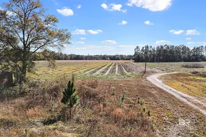 0 US Highway 98, Elberta, AL 36530 - Photo 5