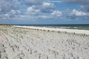 29040 Perdido Beach Blvd, Orange Beach, AL 36561 - Photo 15