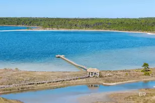 3204 Sand Dollar Ln, Gulf Shores, AL 36542 - Photo 65