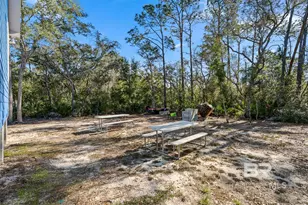 30794 Pine St, Perdido Beach, AL 36530 - Photo 55