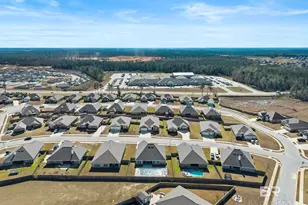 31256 Limpkin St, Spanish Fort, AL 36527 - Photo 73