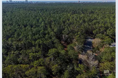 805 Mossy Oak Drive, Gulf Shores, AL 36542 - Photo 17