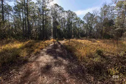 805 Mossy Oak Drive, Gulf Shores, AL 36542 - Photo 7