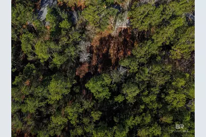 805 Mossy Oak Drive, Gulf Shores, AL 36542 - Photo 21