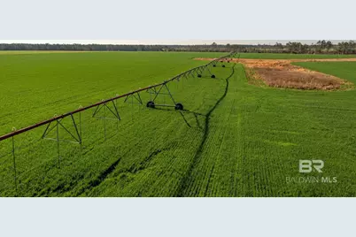 0000 County Road 91, Elberta, AL 36530 - Photo 9