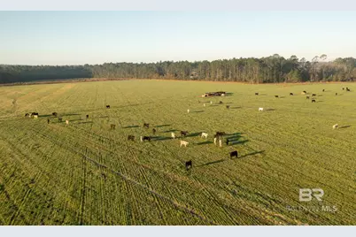 0000 County Road 91, Elberta, AL 36530 - Photo 5
