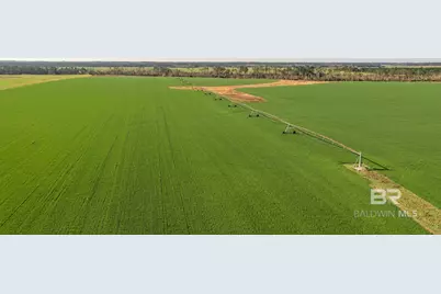 0000 County Road 91, Elberta, AL 36530 - Photo 7