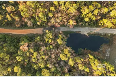 0000 County Road 91, Elberta, AL 36530 - Photo 13
