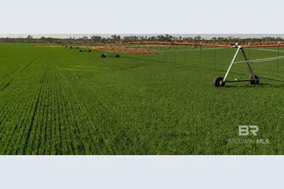 0000 County Road 91, Elberta, AL 36530 - Photo 3