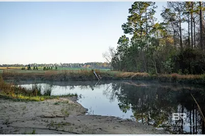 0000 County Road 91, Elberta, AL 36530 - Photo 15