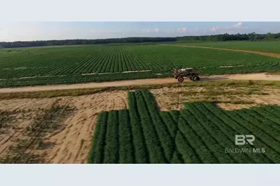 0000 County Road 91, Elberta, AL 36530 - Photo 11