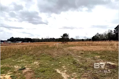 15366 Black & Griffin Road, Loxley, AL 36551 - Photo 5