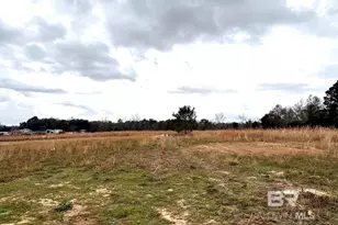 15366 Black Griffin Rd, Loxley, AL 36551 - Photo 5