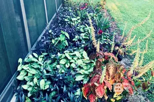 519 Juniper Place Dr, Foley, AL 36535 - Photo 45