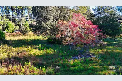 21742 County Road 64, Robertsdale, AL 36567 - Photo 21