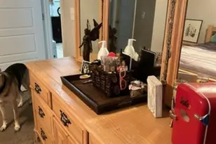 20600 Catamaran Dr, Robertsdale, AL 36567 - Photo 31