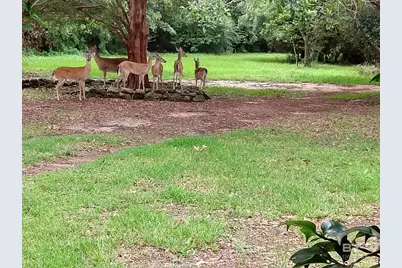 32771 Antietam Road, Lillian, AL 36549 - Photo 93