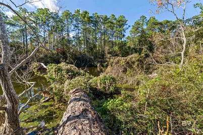 32771 Antietam Road, Lillian, AL 36549 - Photo 43