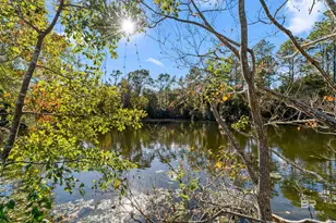 32771 Antietam Rd, Lillian, AL 36549 - Photo 3