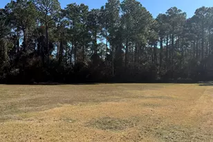 22483 Beaver Creek Ln, Orange Beach, AL 36561 - Photo 1