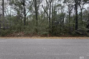 0 Carol St, Mobile, AL 36608 - Photo 1