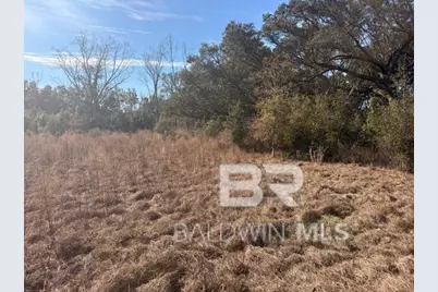 0 Krehling Lane, Elberta, AL 36530 - Photo 9