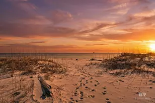 641 Ohana Ln, Gulf Shores, AL 36542 - Photo 5