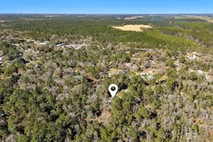 12344 Fernwood Cir, Foley, AL 36535 - Photo 55