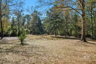 12344 Fernwood Cir, Foley, AL 36535 - Photo 47