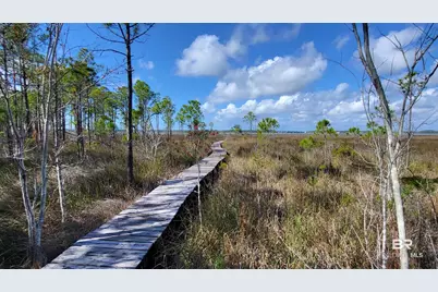 2286 S Bluebird Lane #803, Gulf Shores, AL 36542 - Photo 21