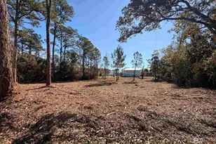 5306 Pine Rd, Orange Beach, AL 36561 - Photo 1