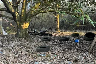 807 Daphne Rd, Bay Minette, AL 36507 - Photo 3