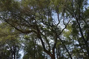 14842 Co Rd 9, Summerdale, AL 36580 - Photo 9