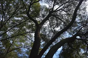 14842 Co Rd 9, Summerdale, AL 36580 - Photo 5