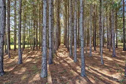 26064 Chatelaine Road, Elberta, AL 36530 - Photo 49