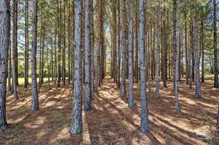 26064 Chatelaine Rd, Elberta, AL 36530 - Photo 49