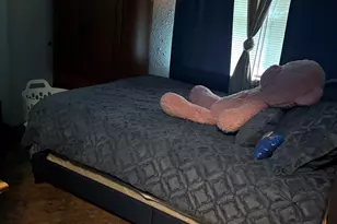 18075 Movico Loop E, Mount Vernon, AL 36560 - Photo 9