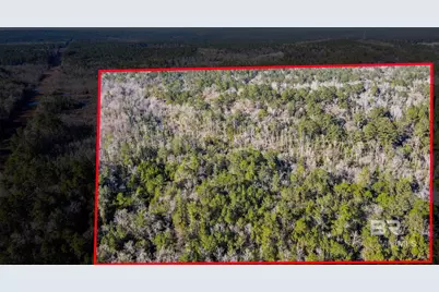 9510 D'Olive Road, Spanish Fort, AL 36527 - Photo 25