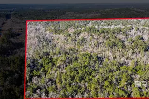 9510 D'Olive Rd, Spanish Fort, AL 36527 - Photo 25