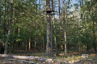 9510 D'Olive Road, Spanish Fort, AL 36527 - Photo 19