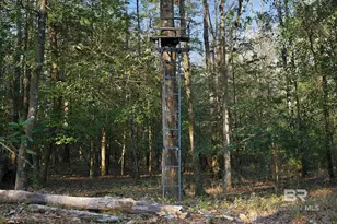 9510 D'Olive Rd, Spanish Fort, AL 36527 - Photo 19