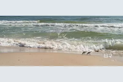 105 E 4th Street #12, Gulf Shores, AL 36542 - Photo 23