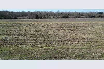 7 Cowpen Creek Road, Atmore, AL 36502 - Photo 11